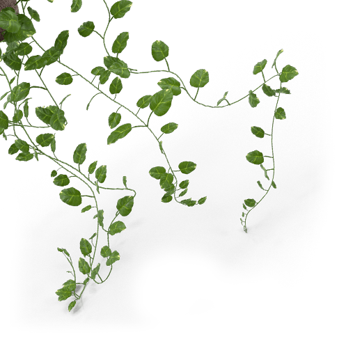 Leaf - Mahee Food Products