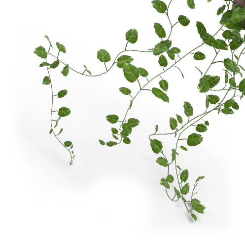 Leaf - Mahee Food Products